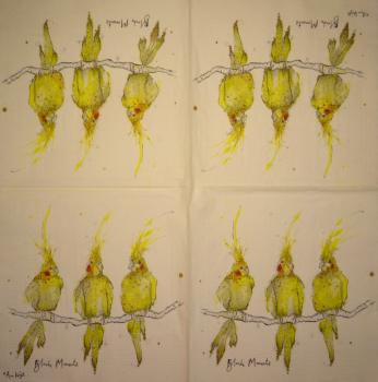 019 Parrot - 3-ply - Ihr
